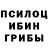 Псилоцибиновые грибы Cubensis Eugen Mutu