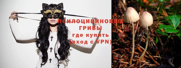 прущие крисы Лихославль