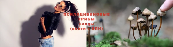 прущие крисы Лихославль