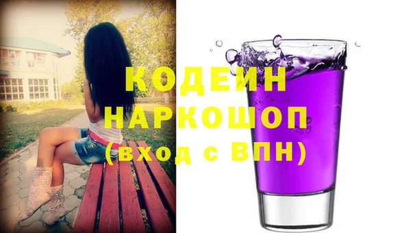 хмурый Дмитров