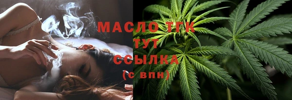 ГАЛЛЮЦИНОГЕННЫЕ ГРИБЫ Дмитриев