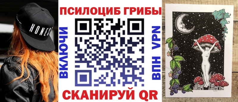 блэк спрут зеркало  Духовщина  Псилоцибиновые грибы Magic Shrooms  наркошоп 